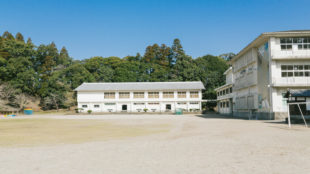 学校