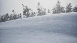 雪原
