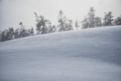 雪原