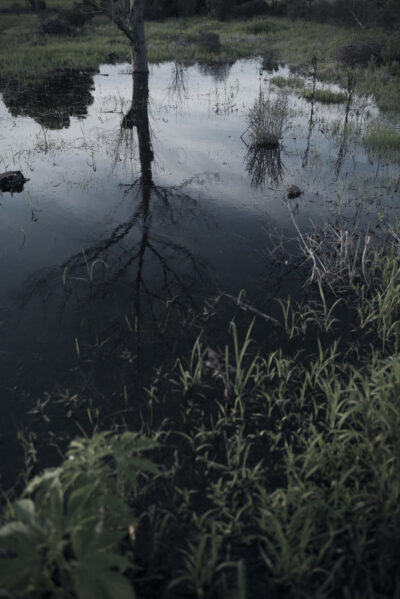 湿地